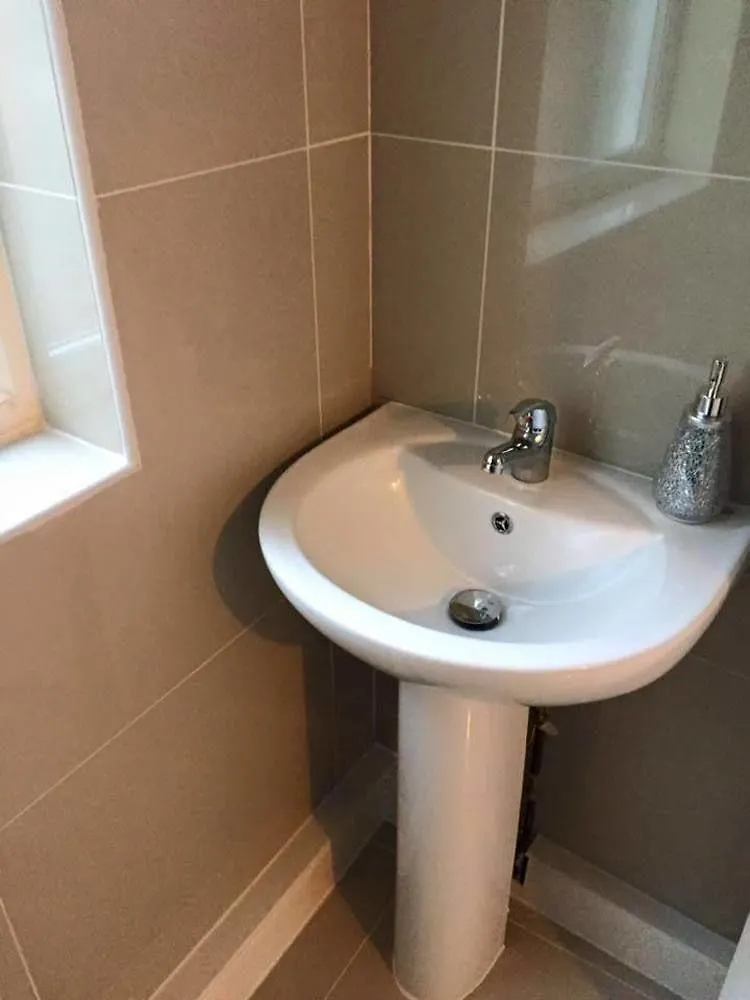 Guest house Larsvale Lodge London
